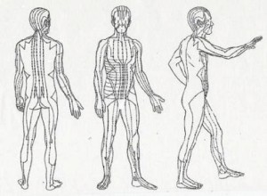meridians