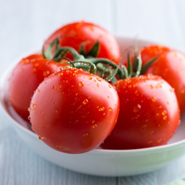 What Do Growing Tomatoes and Developing Children Have in Common?