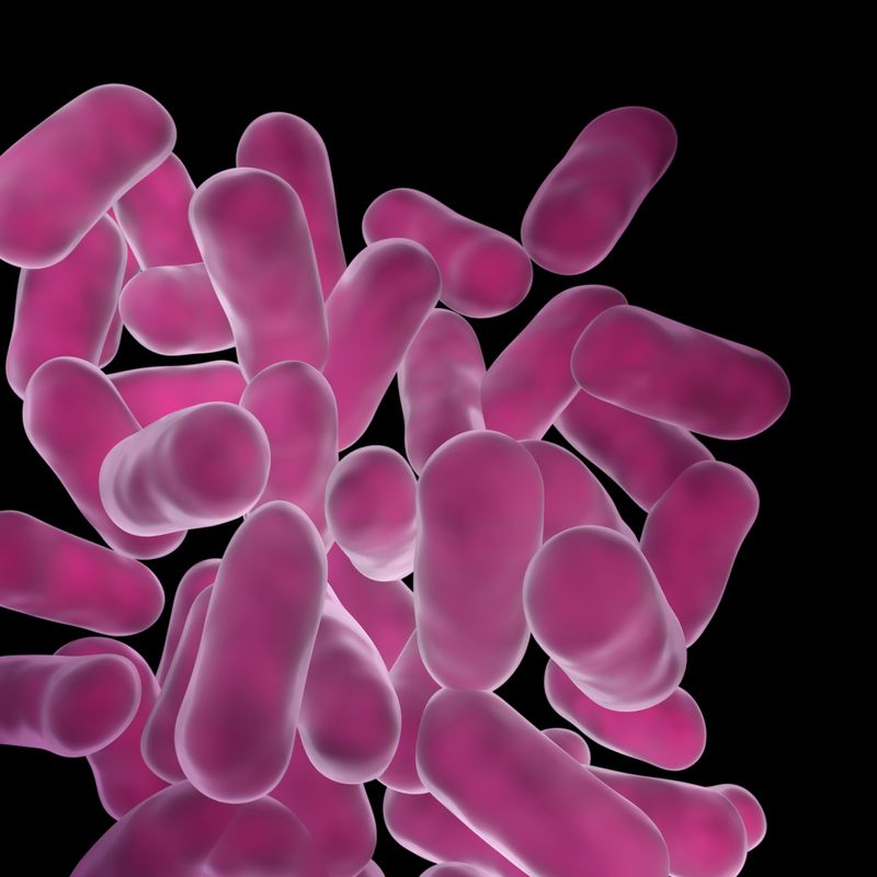 GI-bacteria-dreamstime_s_61297